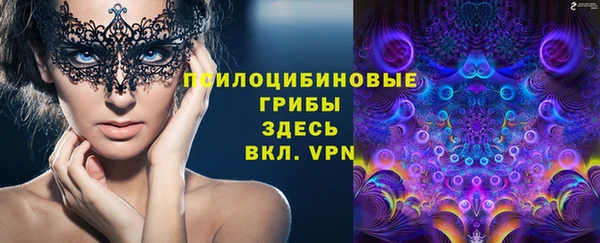 прущий лед Алзамай