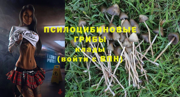а пвп мука Алексеевка