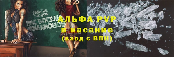 прущий лед Алзамай
