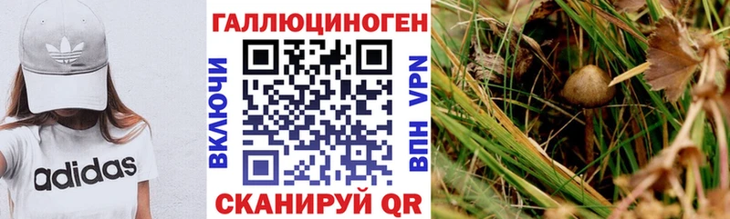 Галлюциногенные грибы Cubensis  где купить наркоту  omg ССЫЛКА  Елабуга 