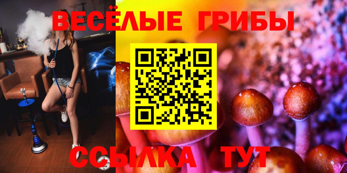 Псилоцибиновые грибы GOLDEN TEACHER Елабуга