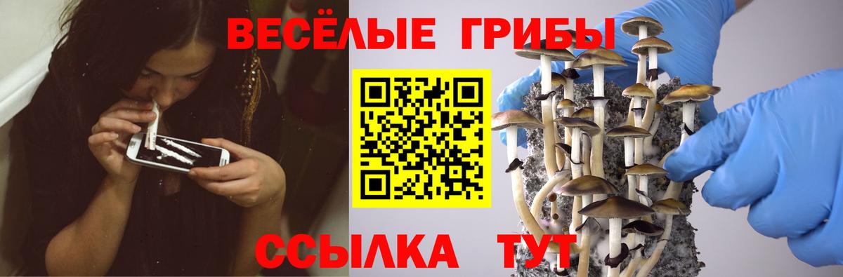 Елабуга  Галлюциногенные грибы ЛСД  Вход с VPN 
